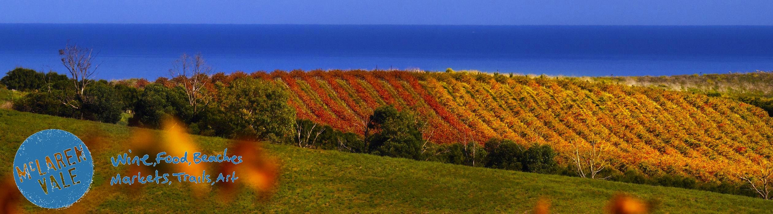 McLaren Vale image